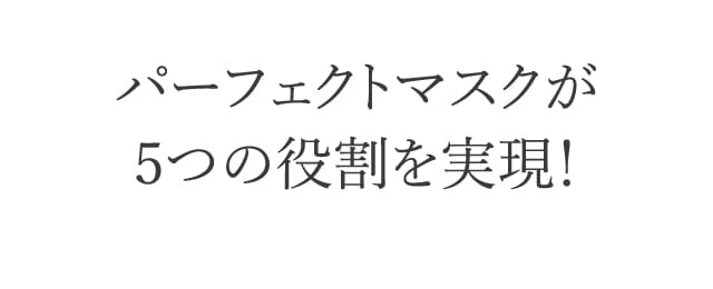 パーフェクトマスクが5つの役割を実現！