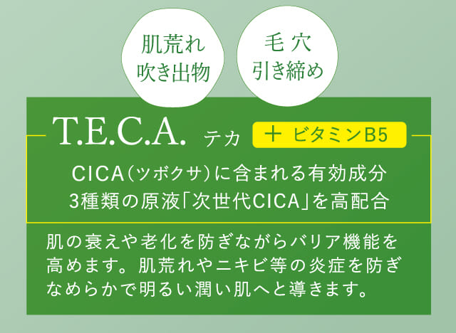 T.E.C.A. テカ