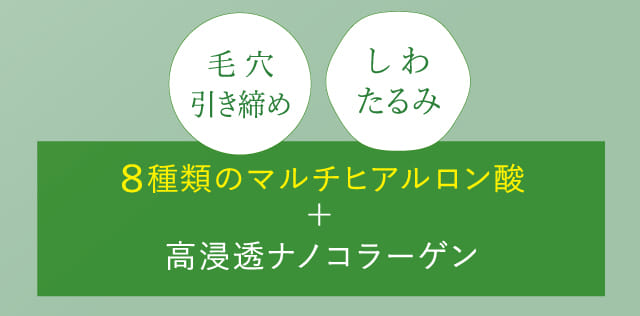 8種類のマルチヒアルロン酸+高浸透ナノコラーゲン