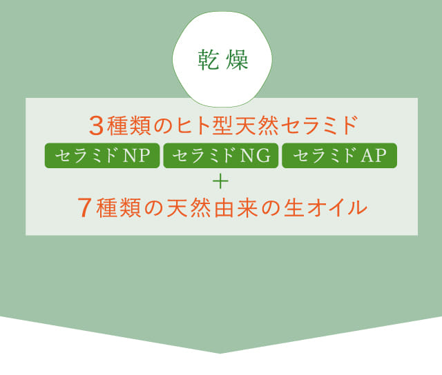 3種類のヒト型天然セラミド+7種類の天然由来の生オイル