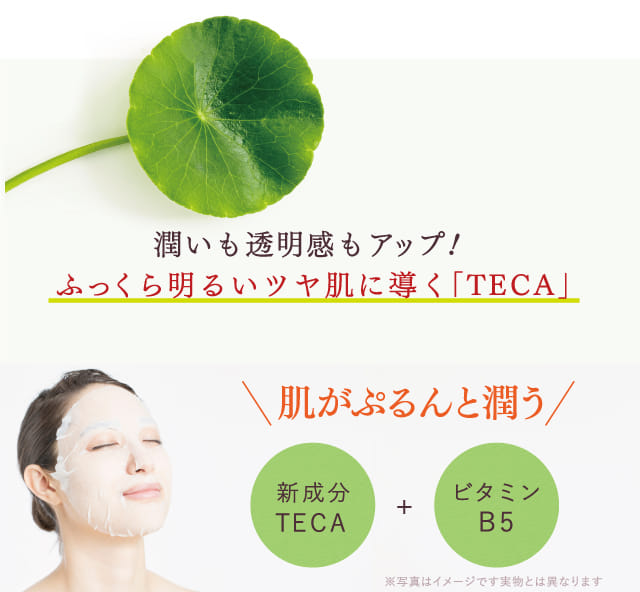 潤いも透明感もアップ！ふっくら明るいツヤ肌に導く「TECA」