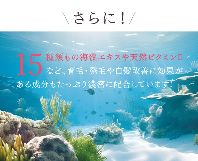 15種類もの海藻エキスや天然ビタミンEなど、育毛・発毛や白髪改善に効果がある成分もたっぷり濃密に配合しています！