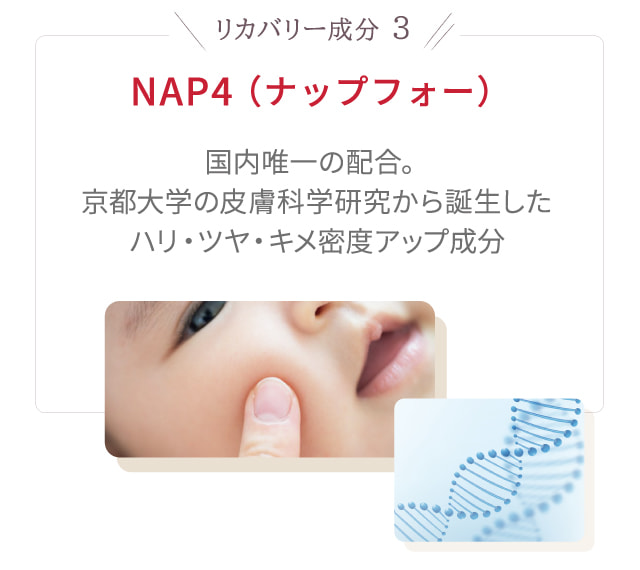 NAP4 （ナップフォー） 