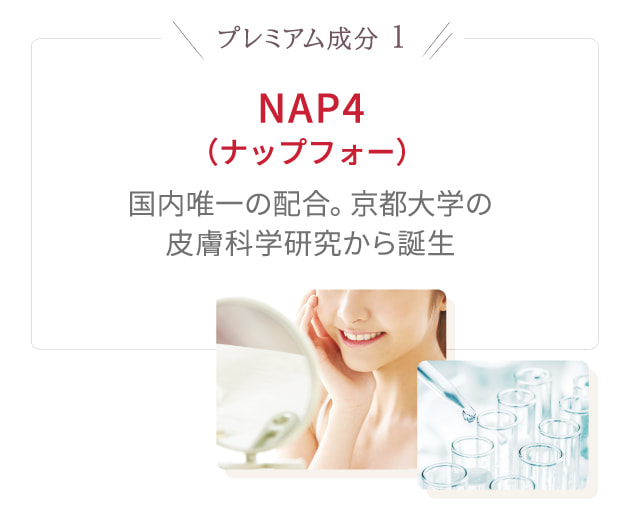 NAP4（ナップフォー） 